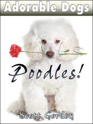 cover image of Poodles!